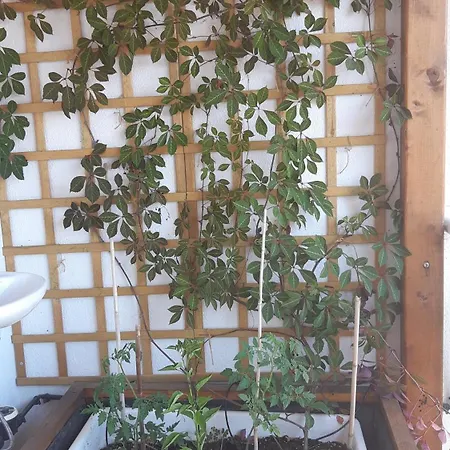 Coco Coworking & Coliving Apartman Aheloj