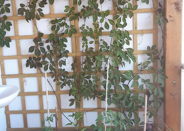 Coco Coworking & Coliving Appartement Aheloy